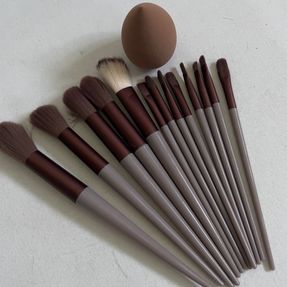 MAKE-Up Brushes Set NWOT